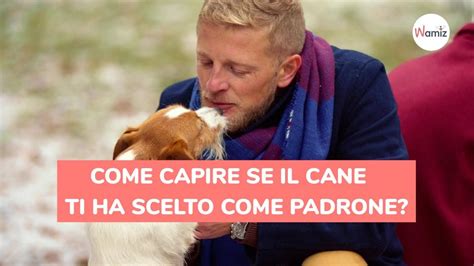 a quanti mesi il cane sceglie il padrone|Come capire se il cane ti ha scelto come padrone .